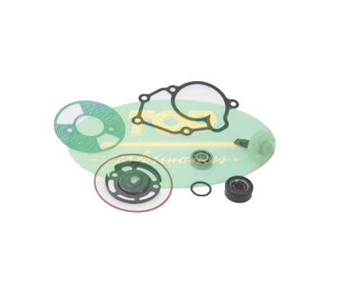 Kit revisione pompa - revisione,
